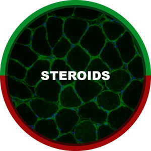 STEROIDS