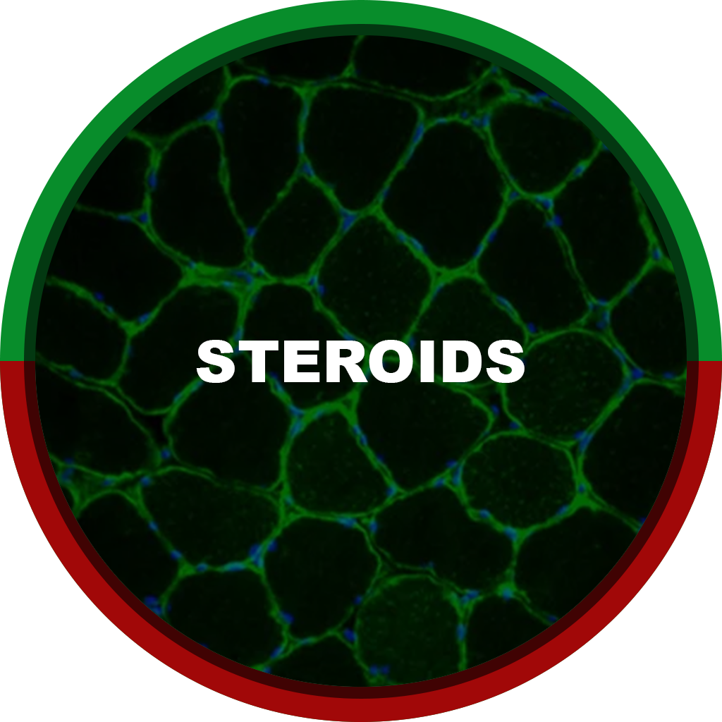 STEROIDS 24Medico