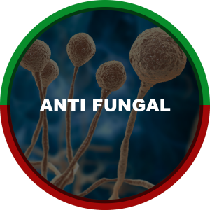 ANTI FUNGAL